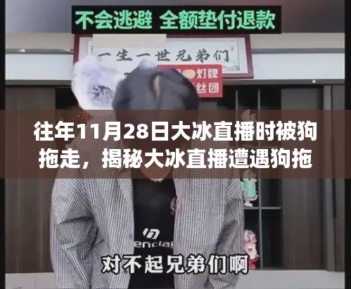 揭秘大冰直播遭遇狗拖走事件，安全觀看直播的實用指南