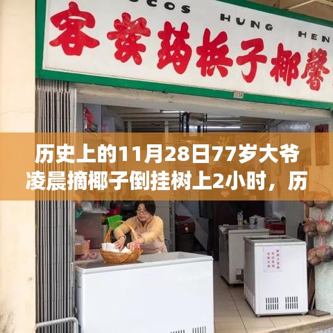 歷史上的今天，一位勇敢的77歲大爺凌晨冒險摘椰子，倒掛樹上兩小時的壯舉！