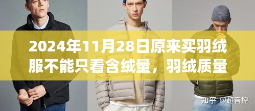超越含絨量，羽絨服質(zhì)量與時(shí)尚設(shè)計(jì)的選擇之道（2024年視角）