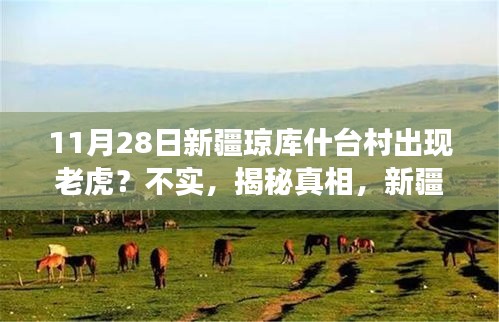新疆瓊庫什臺村老虎事件揭秘，智能科技產(chǎn)品的全新體驗(yàn)之旅——不實(shí)傳聞背后的真相探索