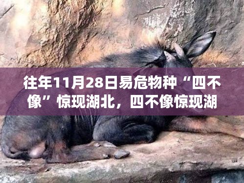 公司簡介 第402頁