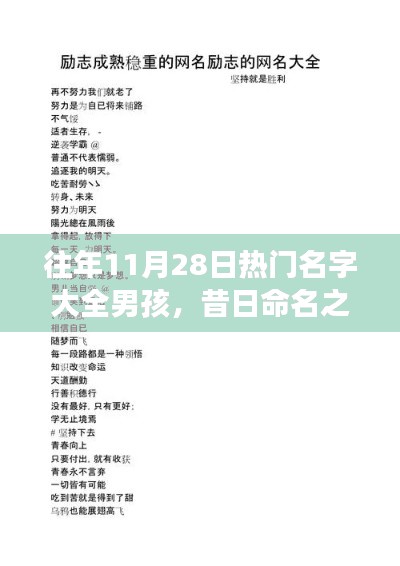 歷年11月28日熱門男孩名字背后的勵(lì)志故事與成長之光