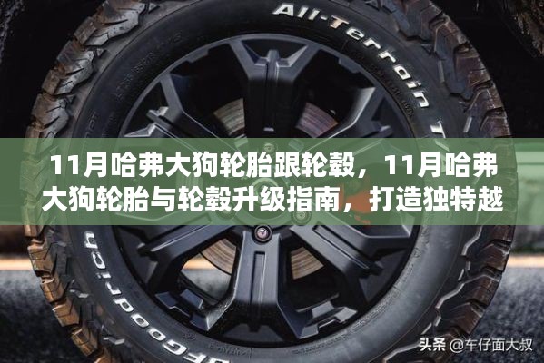 11月哈弗大狗輪胎與輪轂升級指南，塑造獨特越野風(fēng)采
