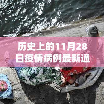 歷史上的11月28日疫情病例最新通報，積極應對與潛在挑戰(zhàn)分析