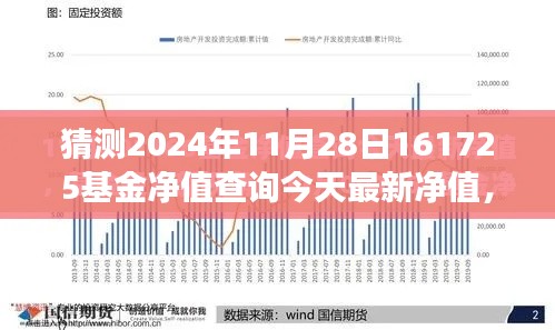 探尋自然秘境之旅，啟程對話心靈，預測基金凈值的小插曲——最新凈值查詢與預測分析（XXXX年XX月XX日）
