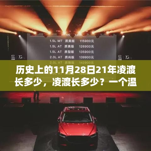 溫馨故事，凌渡車長揭秘，歷史上的今天與溫馨的相遇——11月28日的故事