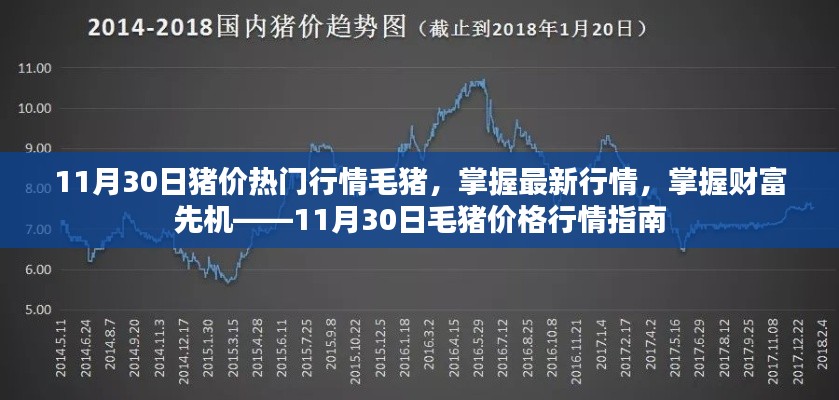11月30日毛豬價(jià)格行情指南，掌握最新熱門(mén)行情，洞悉財(cái)富先機(jī)
