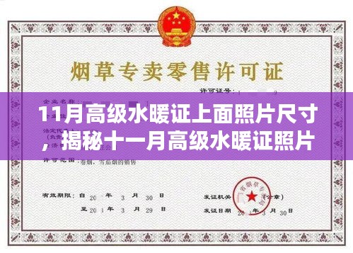 揭秘十一月高級(jí)水暖證照片尺寸要求，專業(yè)指南來自小紅書