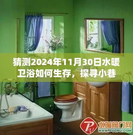 探索水暖衛(wèi)浴行業(yè)未來(lái)生存之道，小巷秘境中的特色發(fā)展預(yù)測(cè)到2024年11月30日的影響與展望