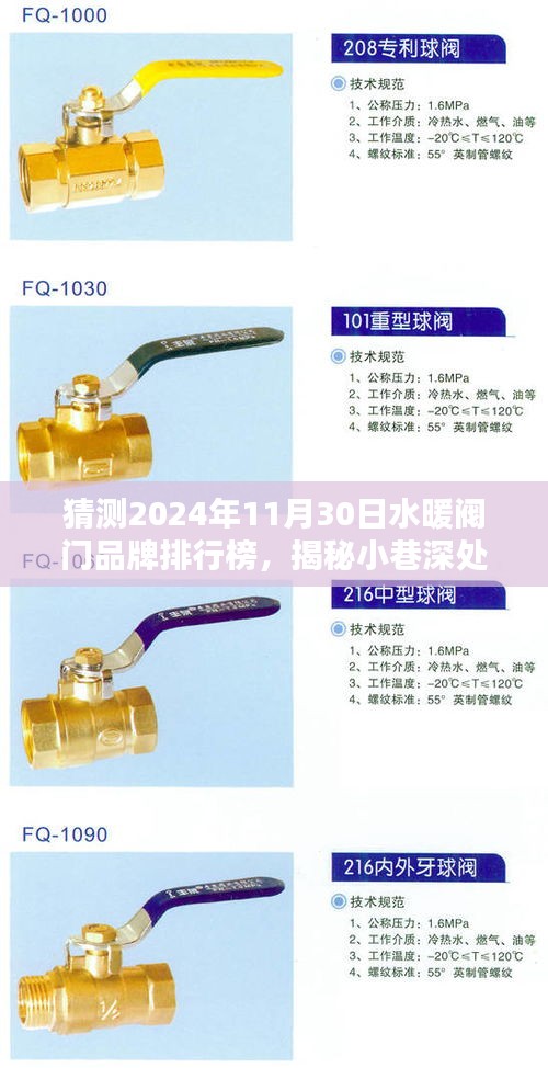 揭秘未來水暖閥門品牌排行榜，小巷深處的隱藏寶藏與未來之星預(yù)測（2024年11月30日）