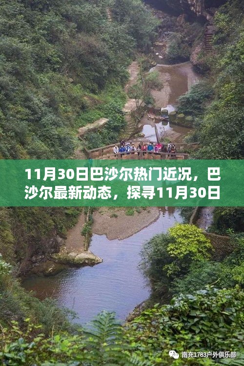巴沙爾最新動(dòng)態(tài)與熱門話題深度解析，11月30日更新