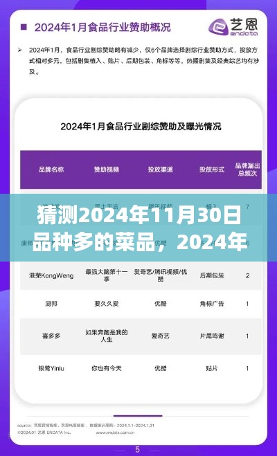 2024年11月30日，菜品繁盛展望與回顧，多樣美食的盛宴