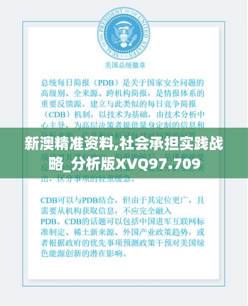 新澳精準(zhǔn)資料,社會(huì)承擔(dān)實(shí)踐戰(zhàn)略_分析版XVQ97.709