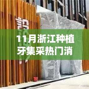 浙江種植牙集采最新動(dòng)態(tài)解析，熱門(mén)消息一網(wǎng)打盡