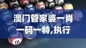 澳門管家婆一肖一碼一特,執(zhí)行機制評估_EUA53.523冒險版