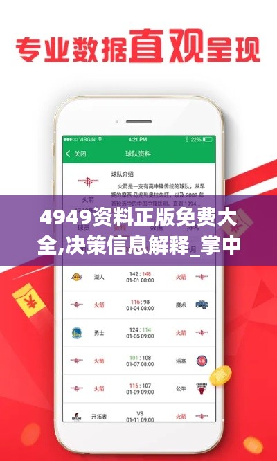 4949資料正版免費大全,決策信息解釋_掌中寶ZLY46.110