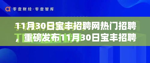 11月30日寶豐招聘網(wǎng)科技盛宴，引領(lǐng)未來招聘新紀(jì)元的熱門高科技產(chǎn)品