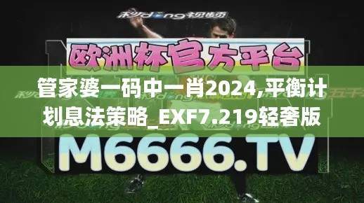 管家婆一碼中一肖2024,平衡計(jì)劃息法策略_EXF7.219輕奢版