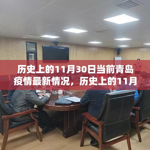 歷史上的11月30日與青島疫情現(xiàn)狀深度解析，最新情況報(bào)告