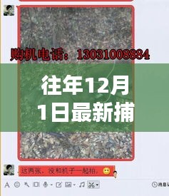 最新捕獵野豬機(jī)詳解，適用于初學(xué)者與進(jìn)階用戶的操作指南