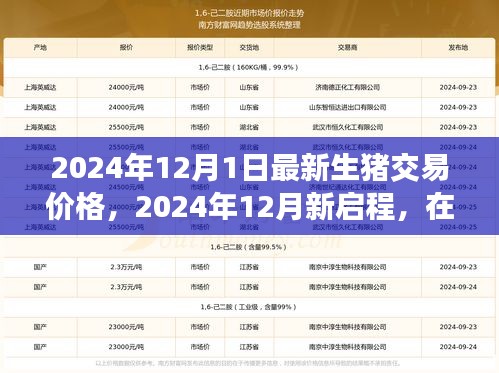 2024年12月新啟程，生豬交易最新價格與心靈之旅的寧靜美景探尋