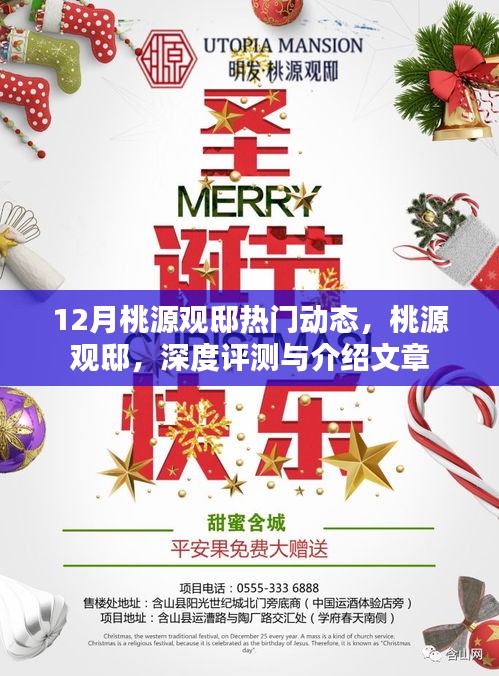 桃源觀邸深度評(píng)測(cè)與介紹，揭秘十二月熱門動(dòng)態(tài)