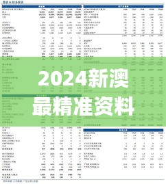 2024新澳最精準(zhǔn)資料大全,定性解析明確評(píng)估_多功能版ZYY31.899