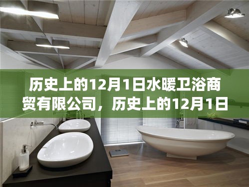 水暖衛(wèi)浴商貿(mào)有限公司的成長(zhǎng)軌跡，歷史上的12月1日回顧與展望