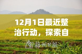 十二月整治行動，探索自然美景，凈化心靈之旅啟程在即