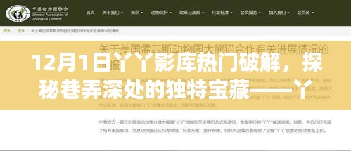 探秘巷弄深處的獨(dú)特寶藏，丫丫影庫(kù)的電影之旅，熱門(mén)破解來(lái)襲！
