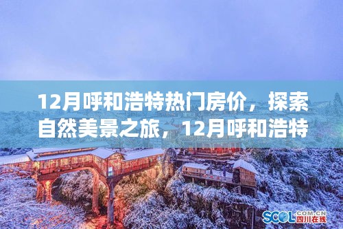12月呼和浩特房?jī)r(jià)熱點(diǎn)與自然美景探索，尋找內(nèi)心的寧?kù)o與平和之旅
