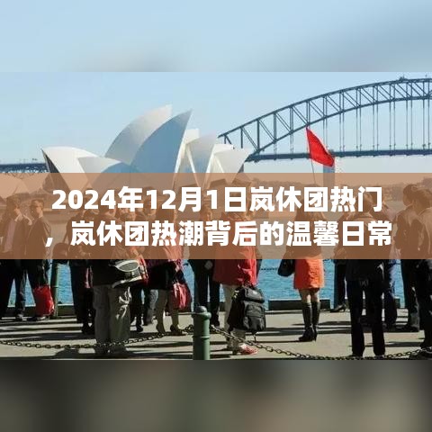 嵐休團熱潮背后的溫馨日常，2024年12月1日的歡樂時光