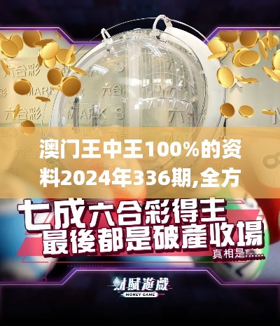 澳門王中王100%的資料2024年336期,全方位展開數(shù)據(jù)規(guī)劃_BNW37.481精簡版