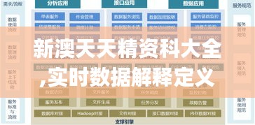 新澳天天精資科大全,實時數(shù)據(jù)解釋定義_特供版13.127-7