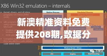 新澳精準(zhǔn)資料免費(fèi)提供208期,數(shù)據(jù)分析驅(qū)動(dòng)執(zhí)行_Kindle24.403-8