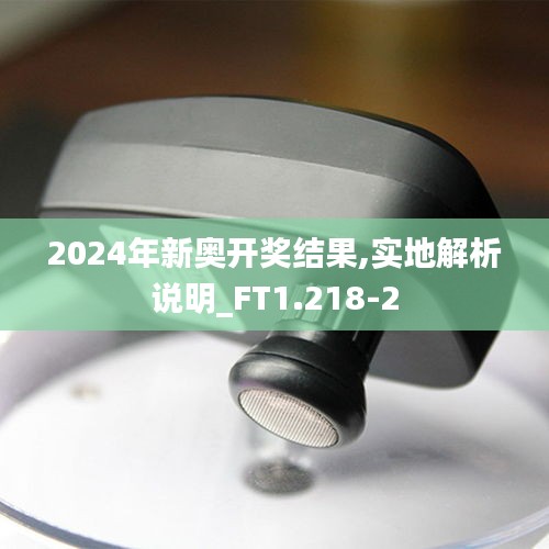 2024年新奧開獎結(jié)果,實(shí)地解析說明_FT1.218-2