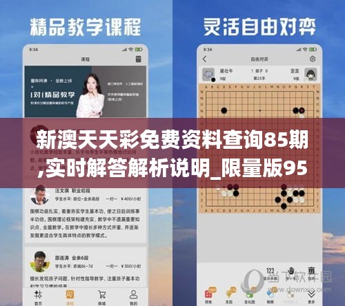 新澳天天彩免費(fèi)資料查詢85期,實(shí)時(shí)解答解析說明_限量版95.728-1