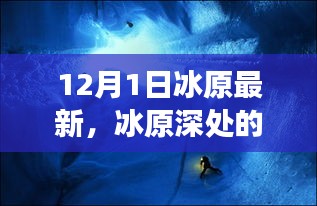 冰原深處的驚喜與小巷美食驛站，最新探索報告（12月1日）