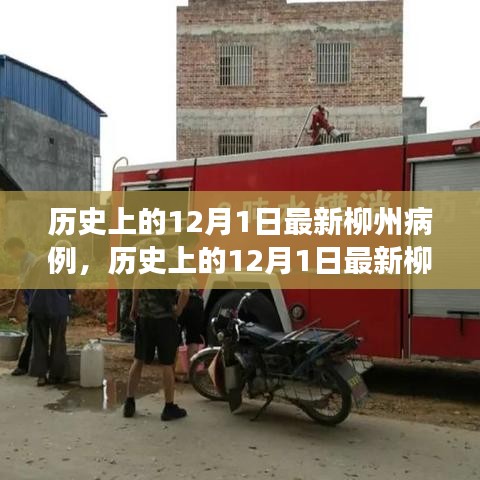 歷史上的12月1日最新柳州病例深度解析，多方視角探討與我的觀點(diǎn)