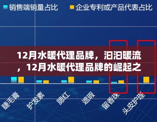 12月水暖代理品牌，汩汩暖流中的崛起之路