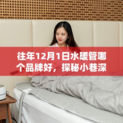 往年12月1日水暖管哪個(gè)品牌好，探秘小巷深處的溫暖之源，揭秘往年12月1日水暖管品牌傳奇