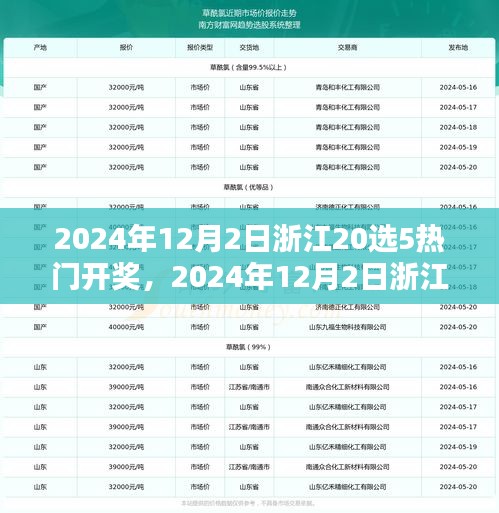 2024年12月2日浙江20選5熱門(mén)開(kāi)獎(jiǎng)，2024年12月2日浙江20選5彩票熱門(mén)開(kāi)獎(jiǎng)分析與預(yù)測(cè)