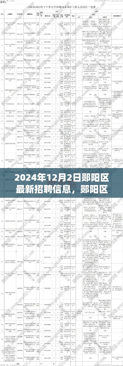 2024年鄖陽區(qū)最新招聘信息發(fā)布，重塑職業(yè)格局的契機來臨