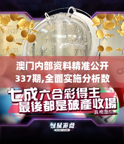 澳門內(nèi)部資料精準(zhǔn)公開337期,全面實施分析數(shù)據(jù)_精英款83.984-6