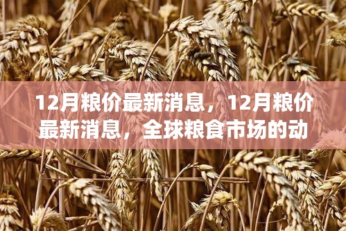 全球糧食市場(chǎng)最新動(dòng)態(tài)，12月糧價(jià)分析與展望