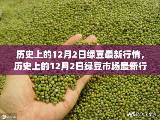 歷史上的12月2日綠豆行情概覽，最新市場動態(tài)速遞