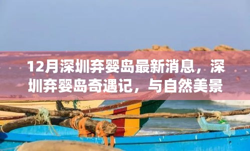 深圳棄嬰島最新動(dòng)態(tài)，與自然美景的邂逅，尋找內(nèi)心平和之旅