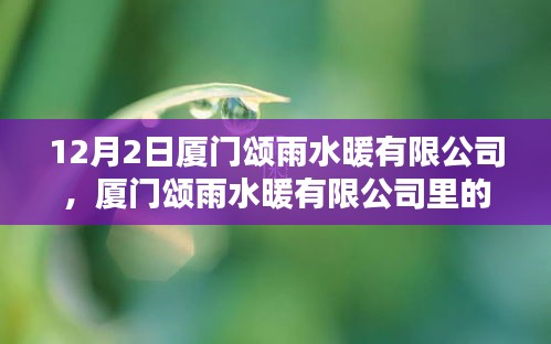 廈門頌雨水暖有限公司，雨中陪伴與家的溫馨日常