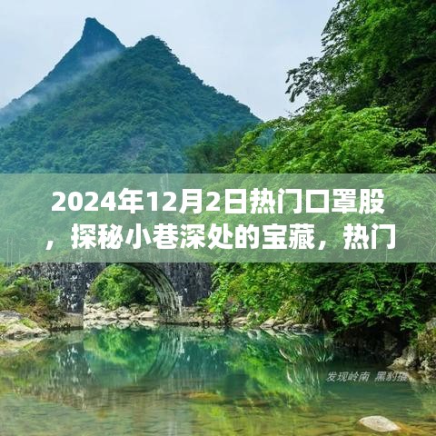 探秘口罩股背后的獨特故事，小巷深處的寶藏，熱門口罩行業(yè)揭秘（2024年12月2日）