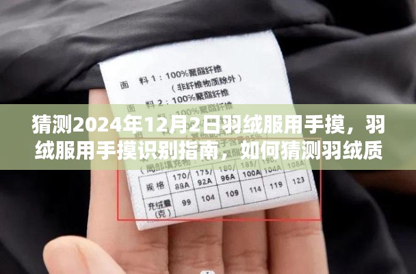 羽絨服用手摸識別指南，羽絨質量與選購技巧全解析（初學者與進階用戶適用）